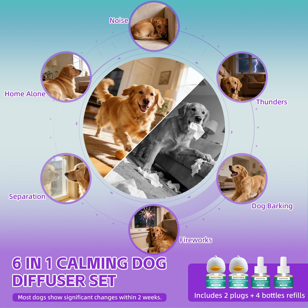 Kazutoku diffuser easing dog during thunderstorms or fireworks