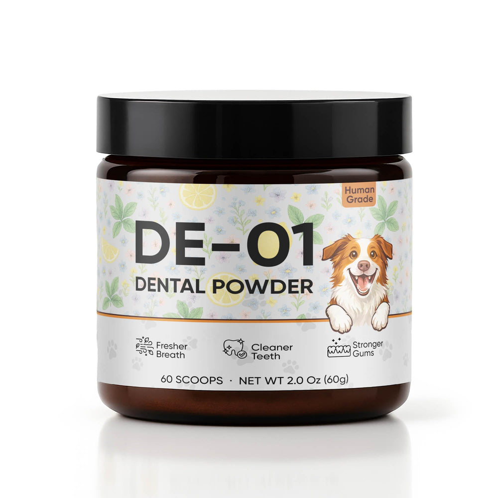 KBKTWOLT Dental Powder DE-01 packaging shown for daily dental care.