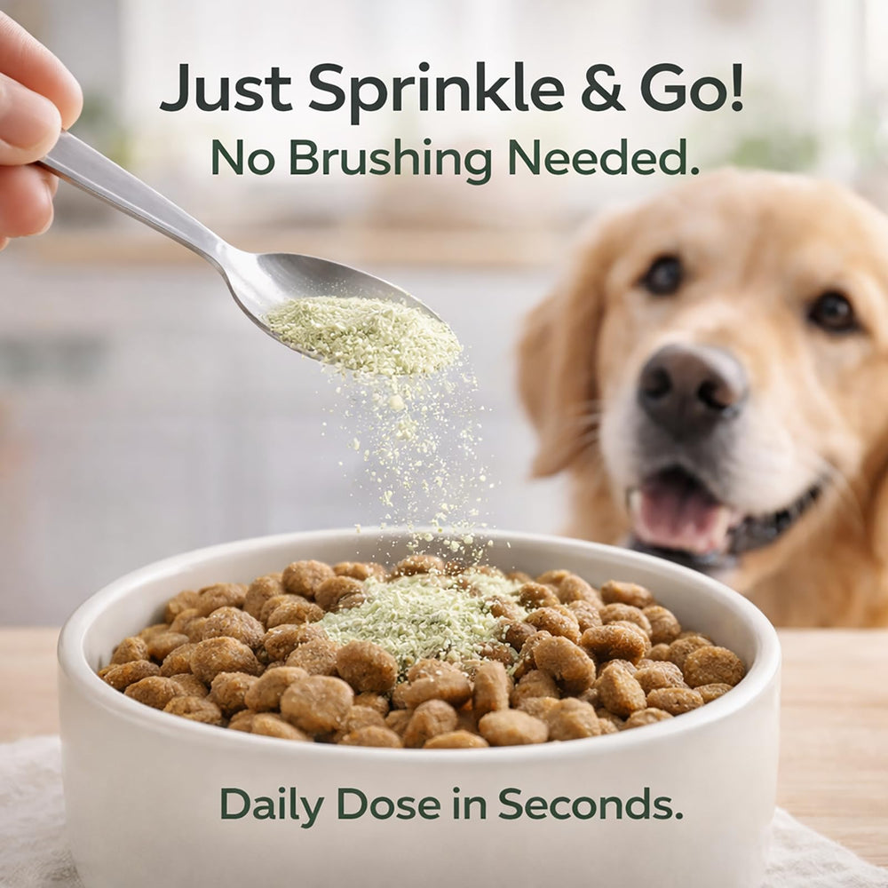 Fine powder texture ready to mix with meals for oral care.