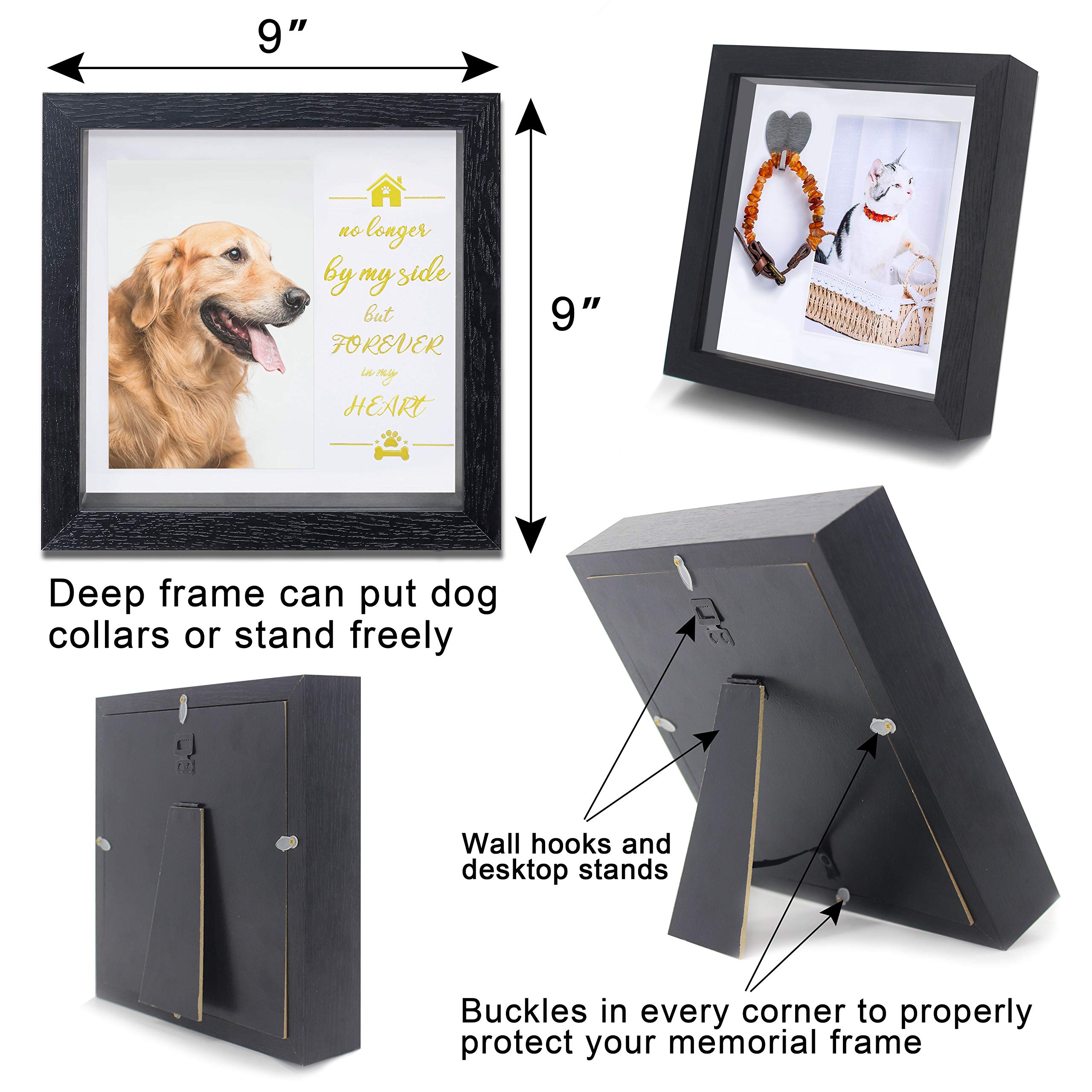 KCRasan 9x9 frame shows dog and cat memories together