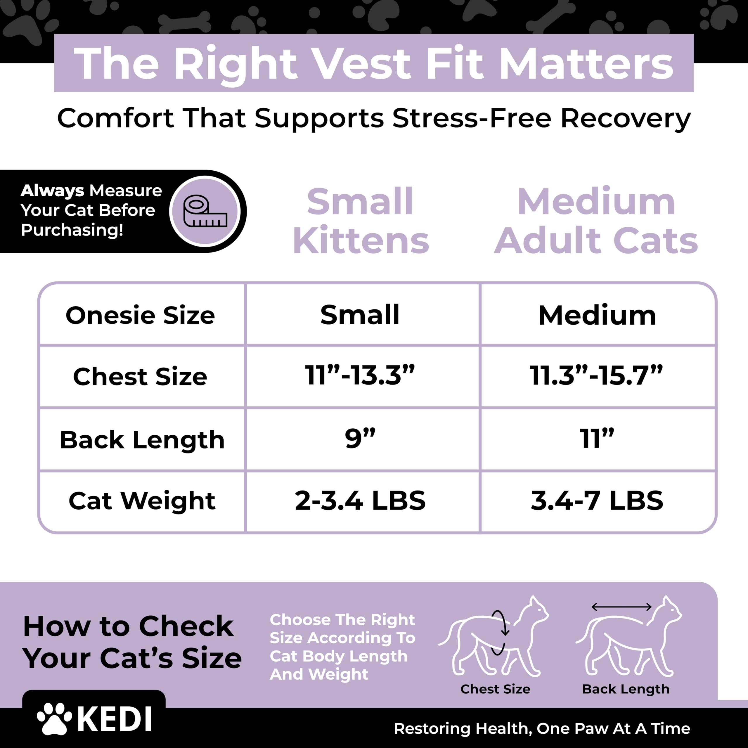 Kedi Cats Solutions black with white paws design during a nap.