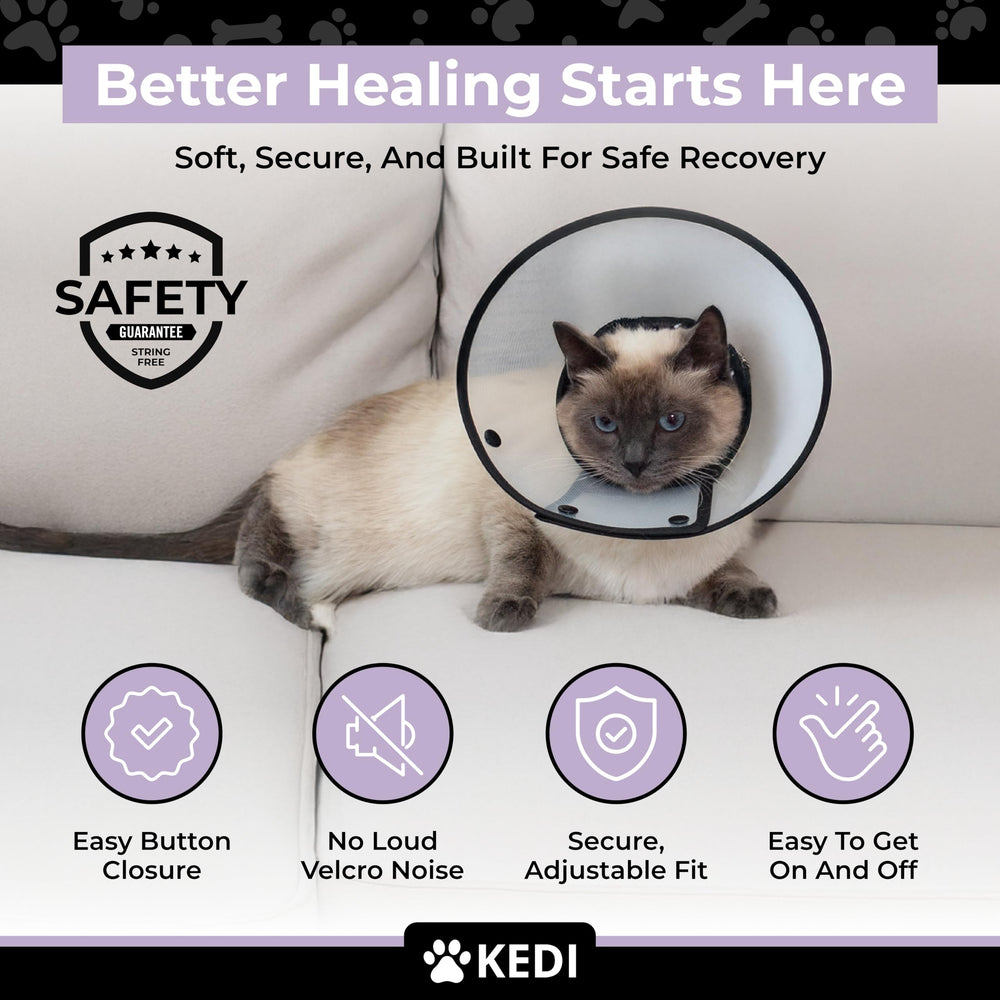 Kedi Cats Solutions cone-and-vest setup shown on recovering cat.