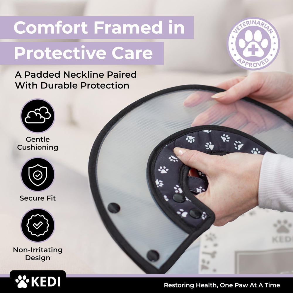 Kedi Cats Solutions post-surgery care setup with vest and cone.