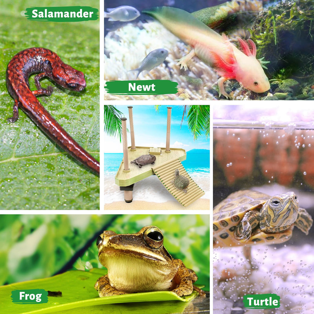 Keedolla compatibility with 20 gallon plus tanks enables flexible installation.