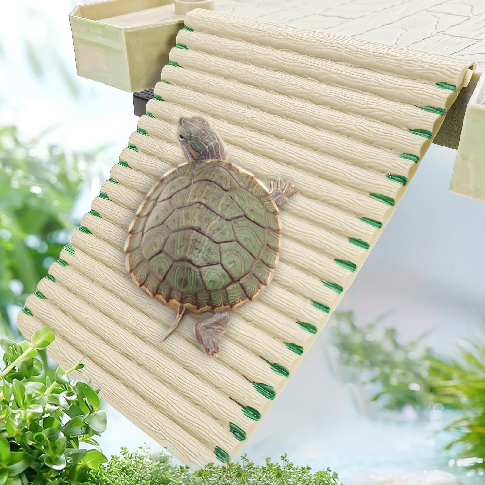 Keedolla versatile habitat suitable for turtles, salamanders, frogs, and more