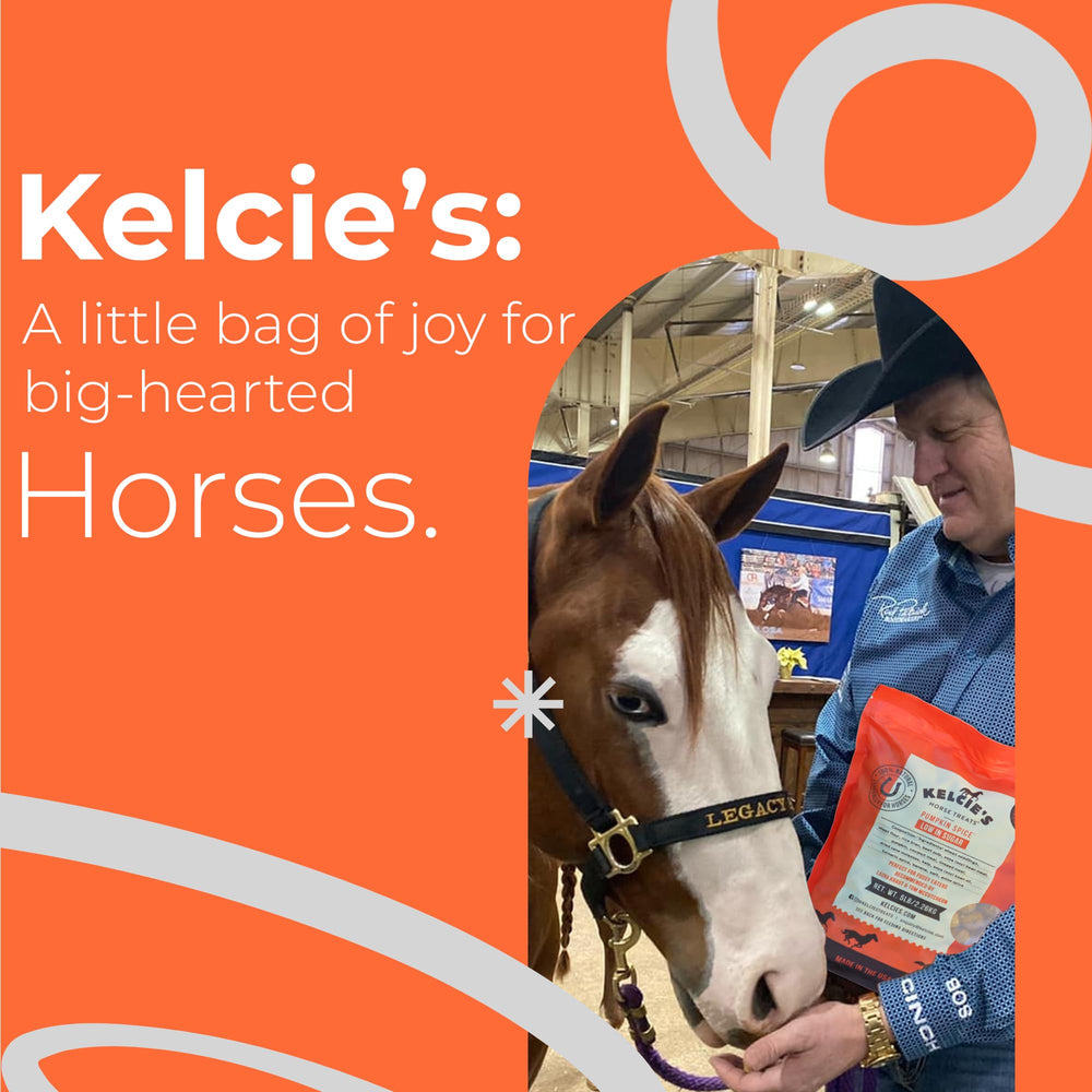 Kelcies Pumpkin Spice horse treats in a frontal bowl entice with pumpkin aroma