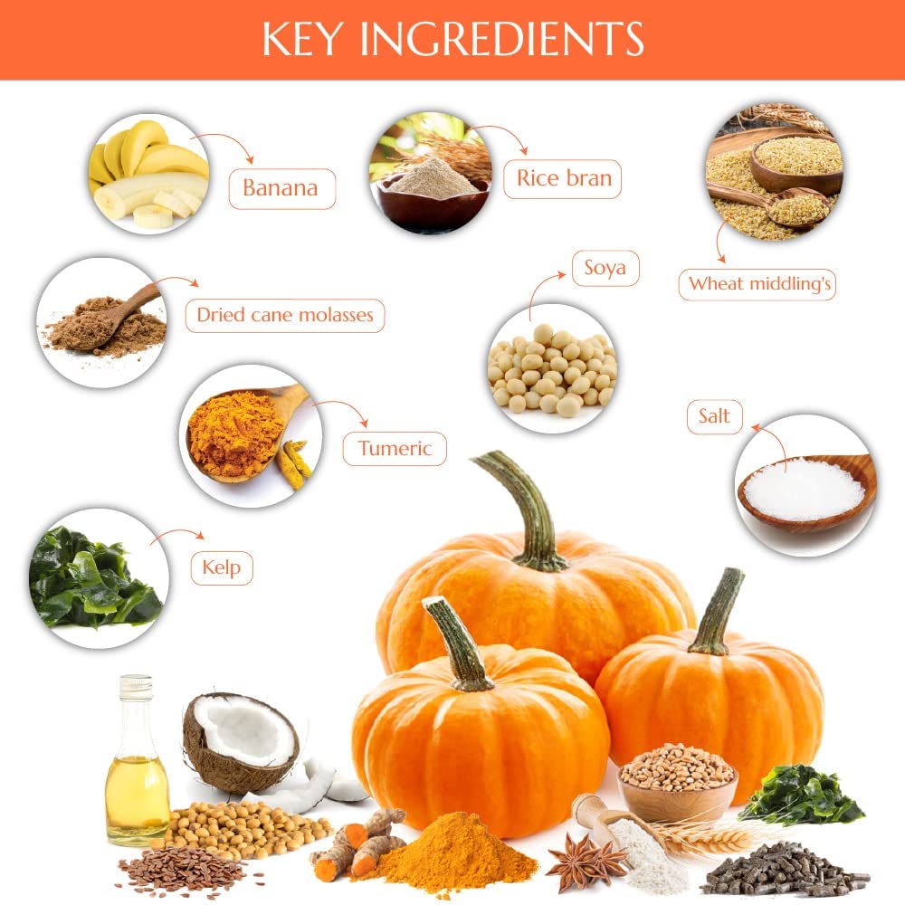 Kelcies Pumpkin Spice treats highlight low-sugar ingredients for healthier snacking