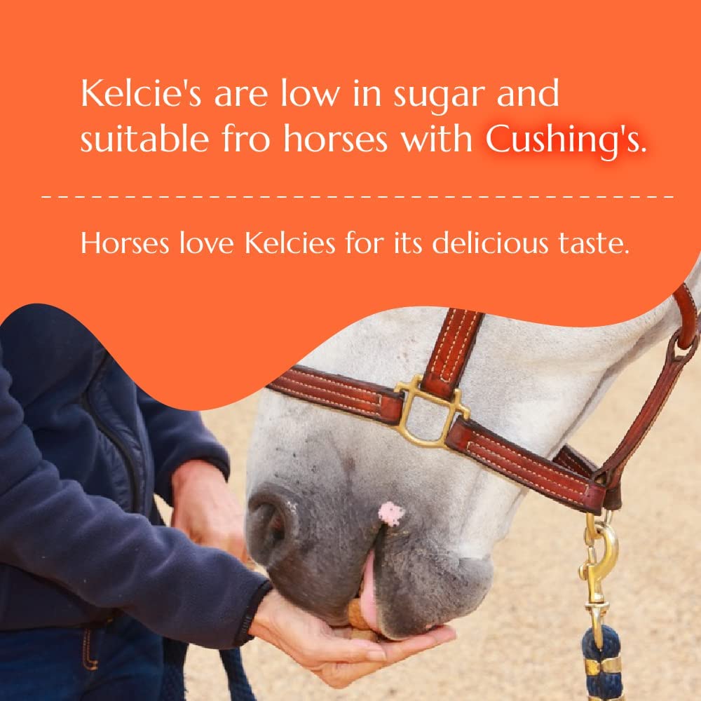 Kelcies Pumpkin Spice treats serve as a training tool to reinforce good behavior