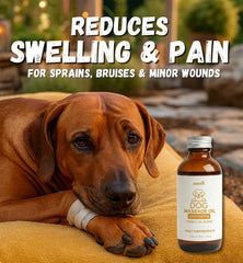 KELEBS 5-ingredient blend nourishes skin during dog massages