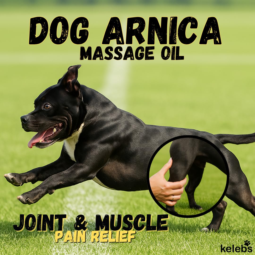 KELEBS arnica oil for dogs used during massage for mobility support