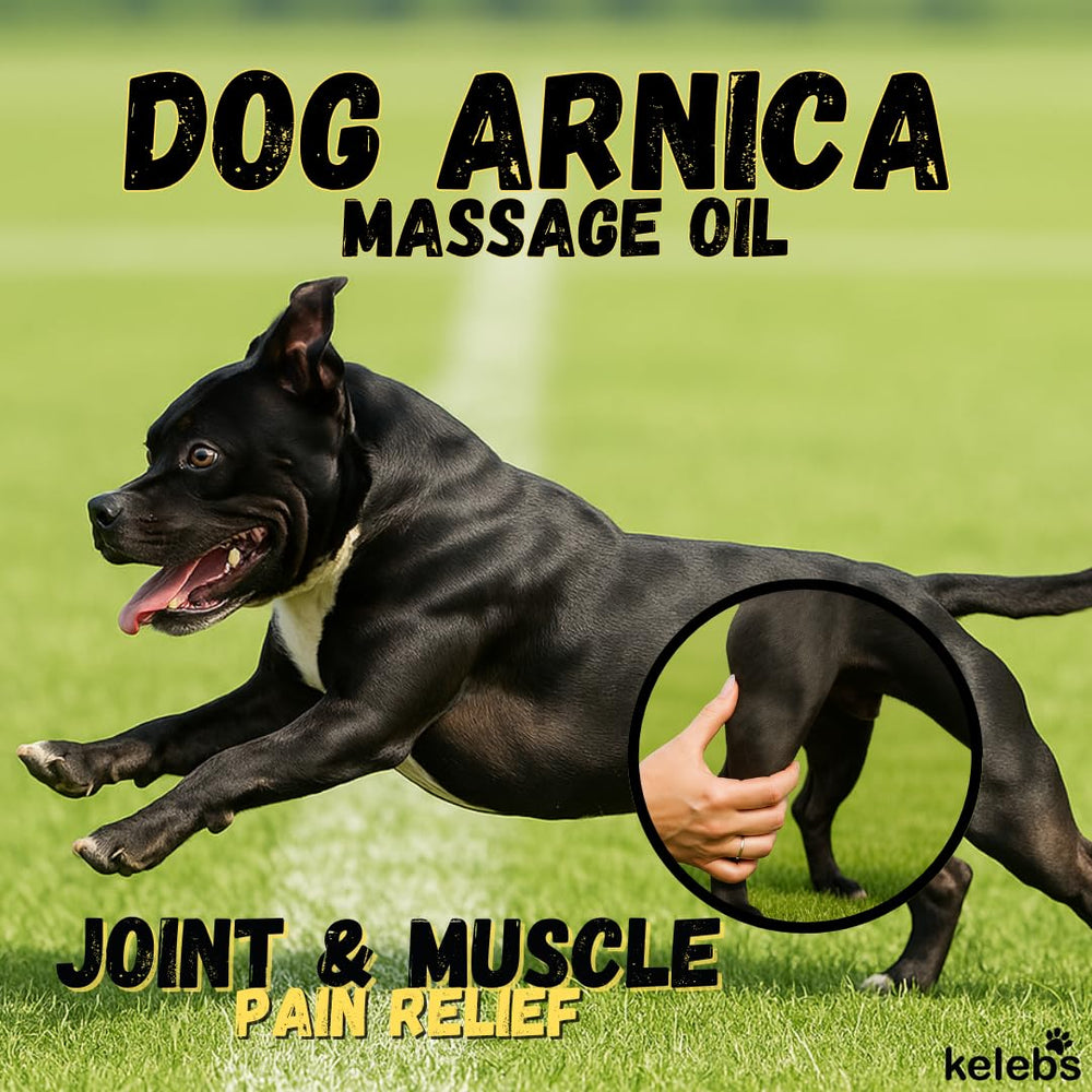 KELEBS arnica oil for dogs used during massage for mobility support
