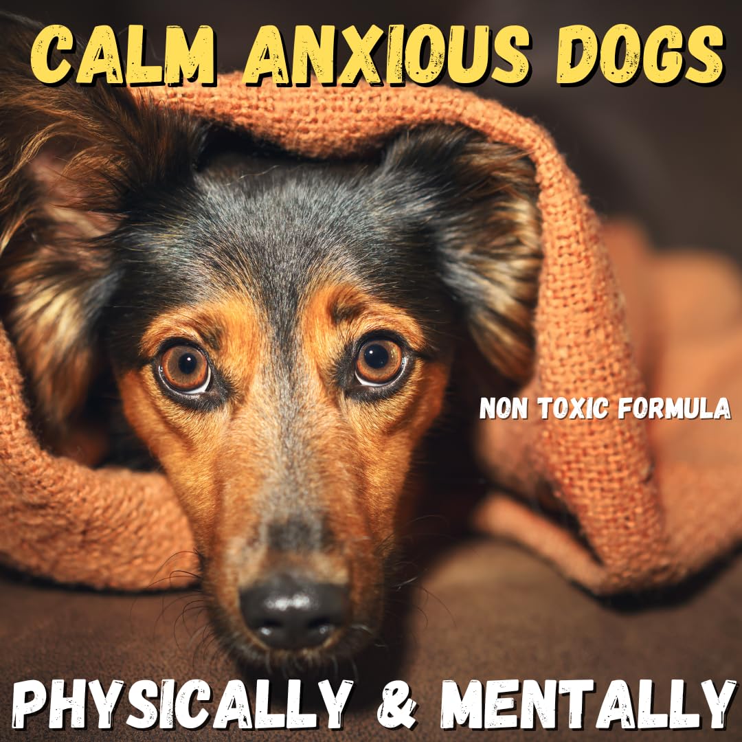 KELEBS arnica oil absorbs easily into dog skin