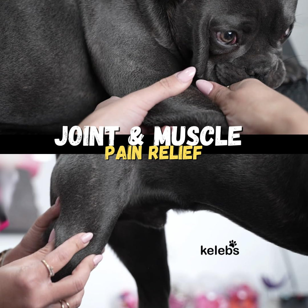 KELEBS dog joint care oil packaging shown for home use