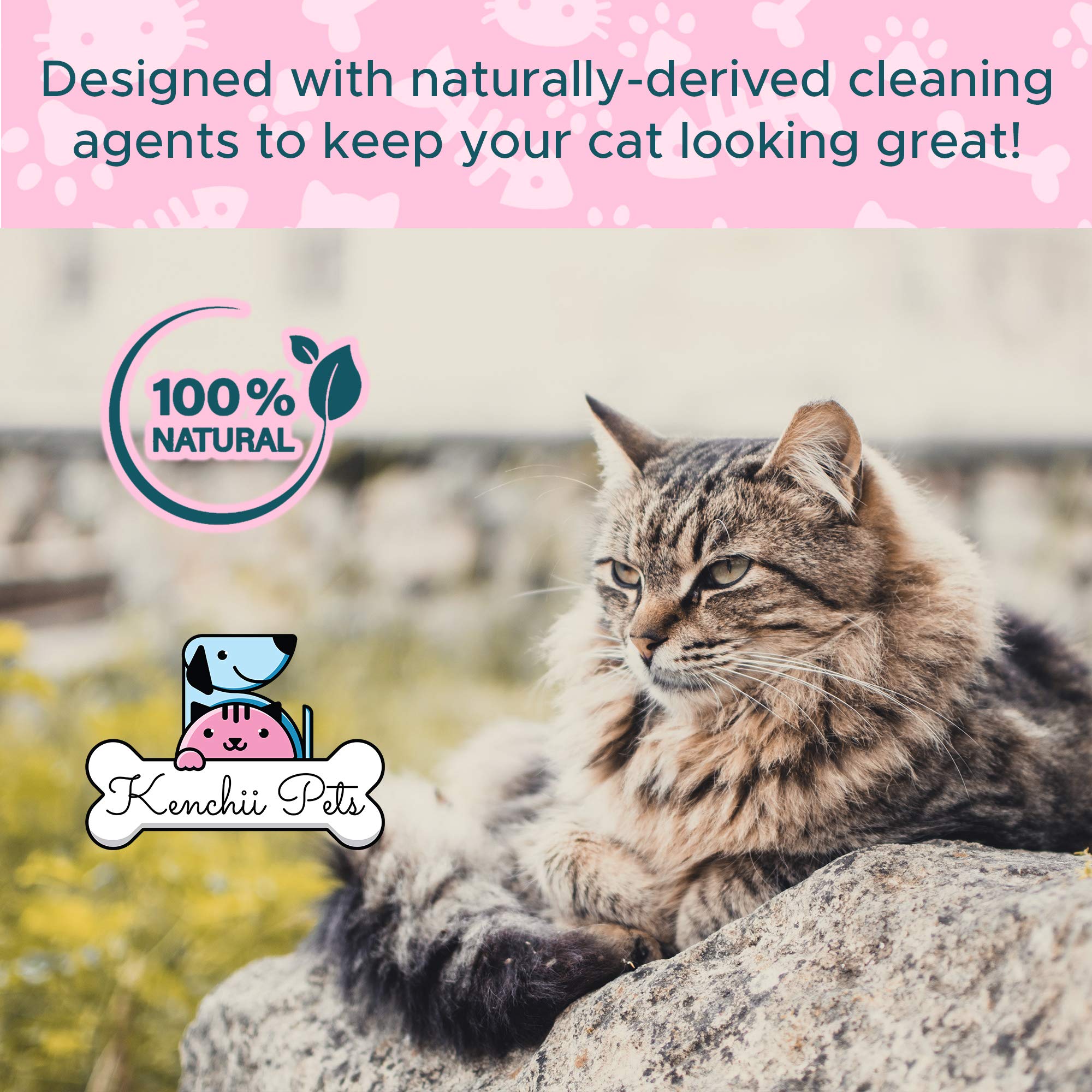 Kenchii kitten coat care with natural ingredients for moisture and softness.