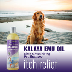 Kenic emu oil shampoo lather displaying gentle cleansing and moisture.