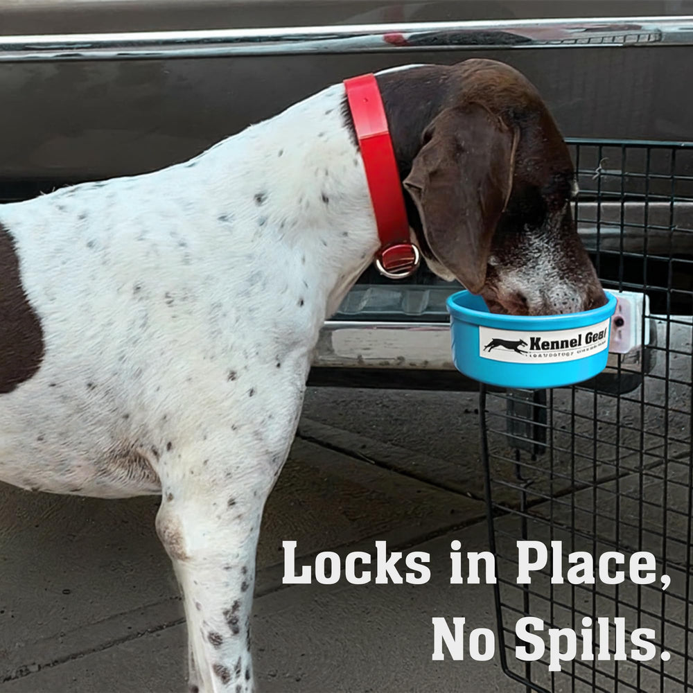 Kennel-Gear crate water bowl secure-mount close-up shows bracket stability during travel