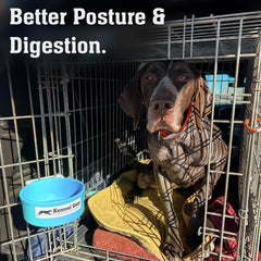 Kennel-Gear travel-ready setup demonstrates portability for shows and trips