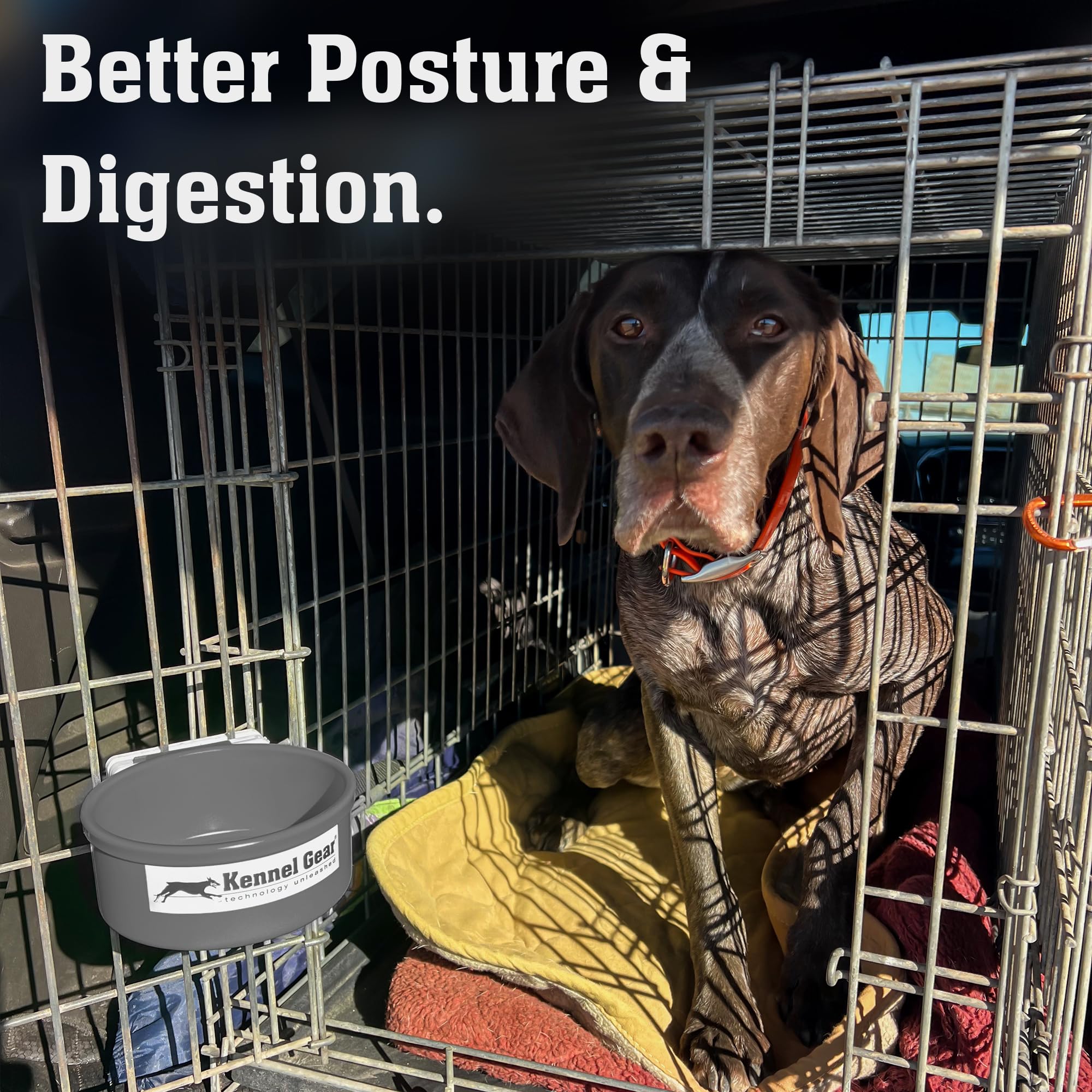 Travel-ready dog bowl for shows and crate feeding anywhere.