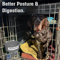 Travel-ready dog bowl for shows and crate feeding anywhere.