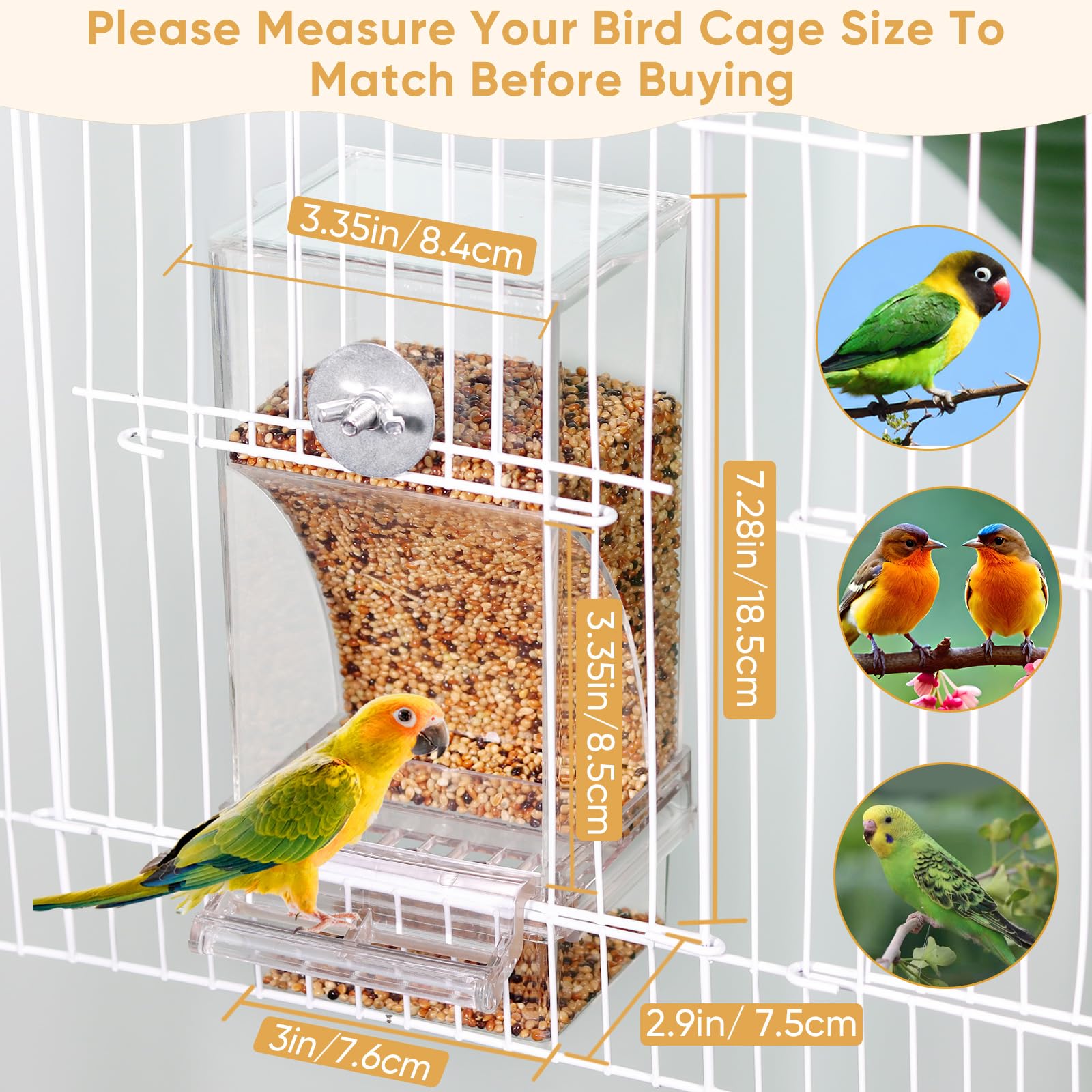 Kenond Bird Feeder gravity mechanism close-up showing smooth operation.