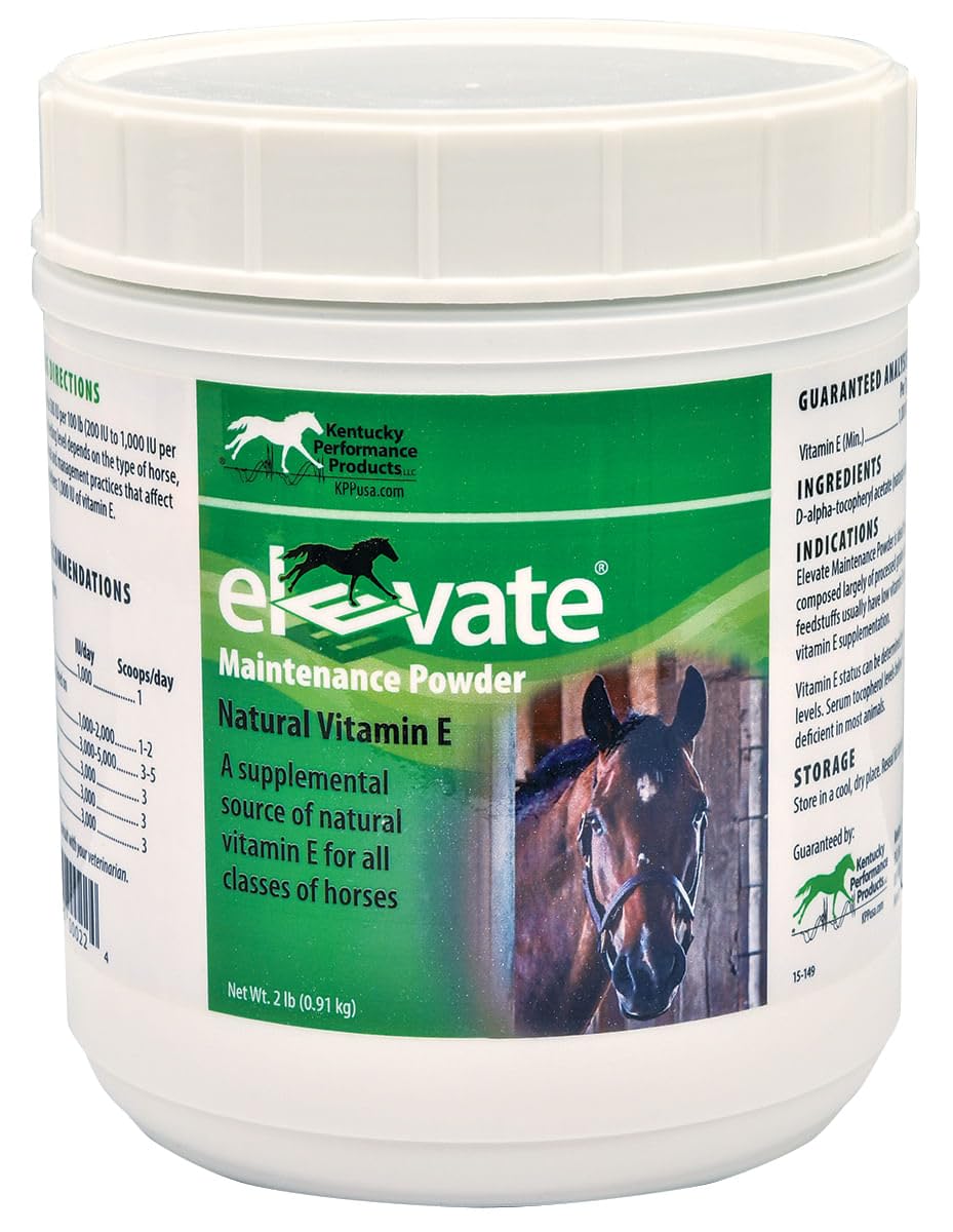 Kentucky Performance Prod Elevate powder in scoop jar; supports vitamin E intake for horses.