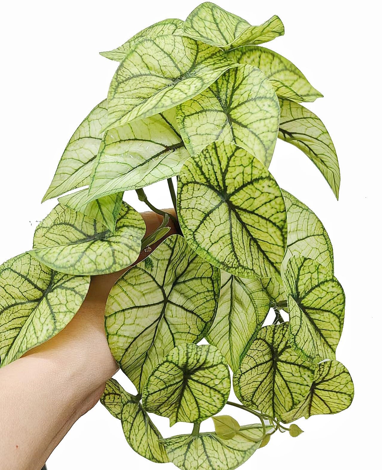 KERUIDENG Reptile Plants suction cups secure attachment for flexible terrarium layout.