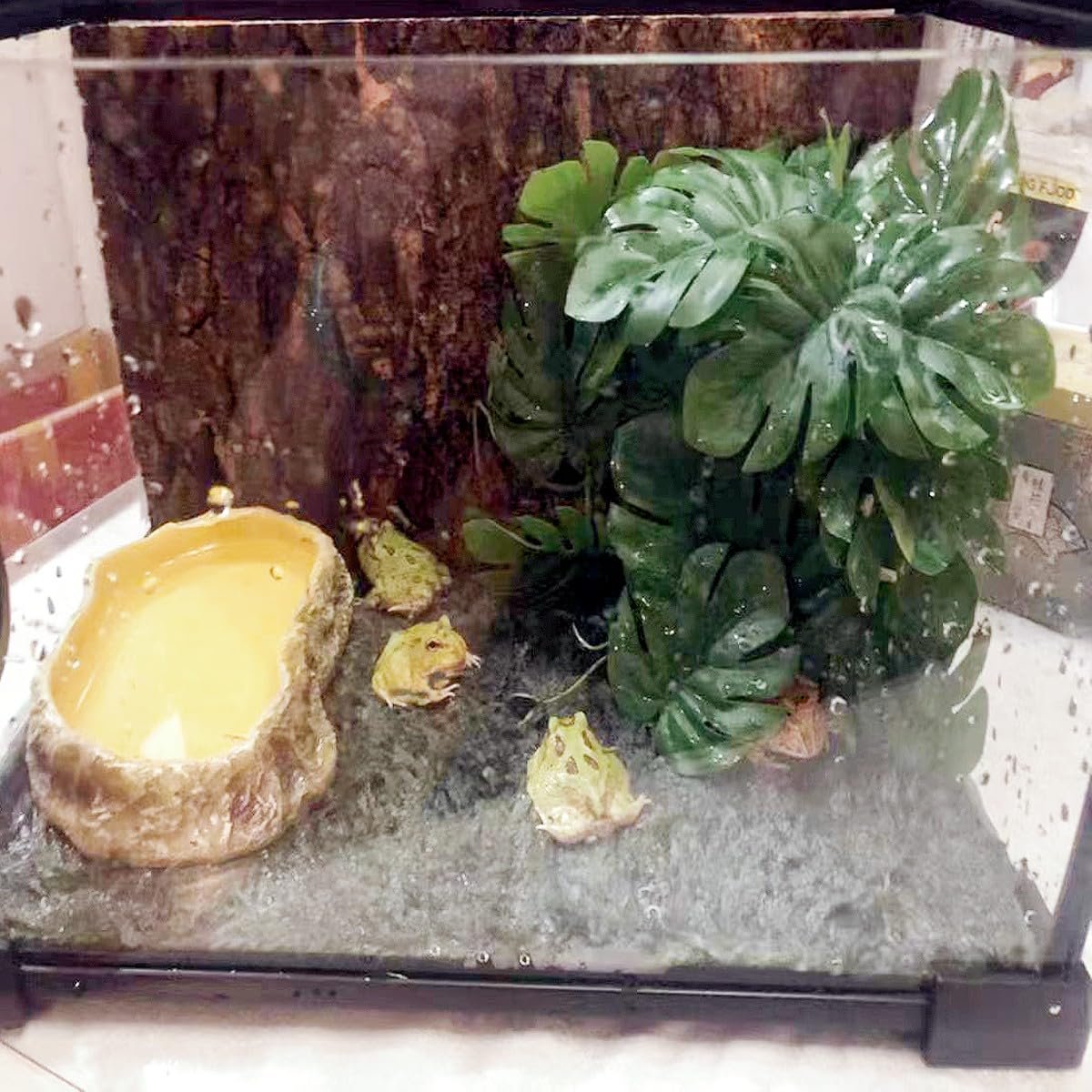 KERUIDENG Reptile Plants two-pack lets flexible placement and layout.