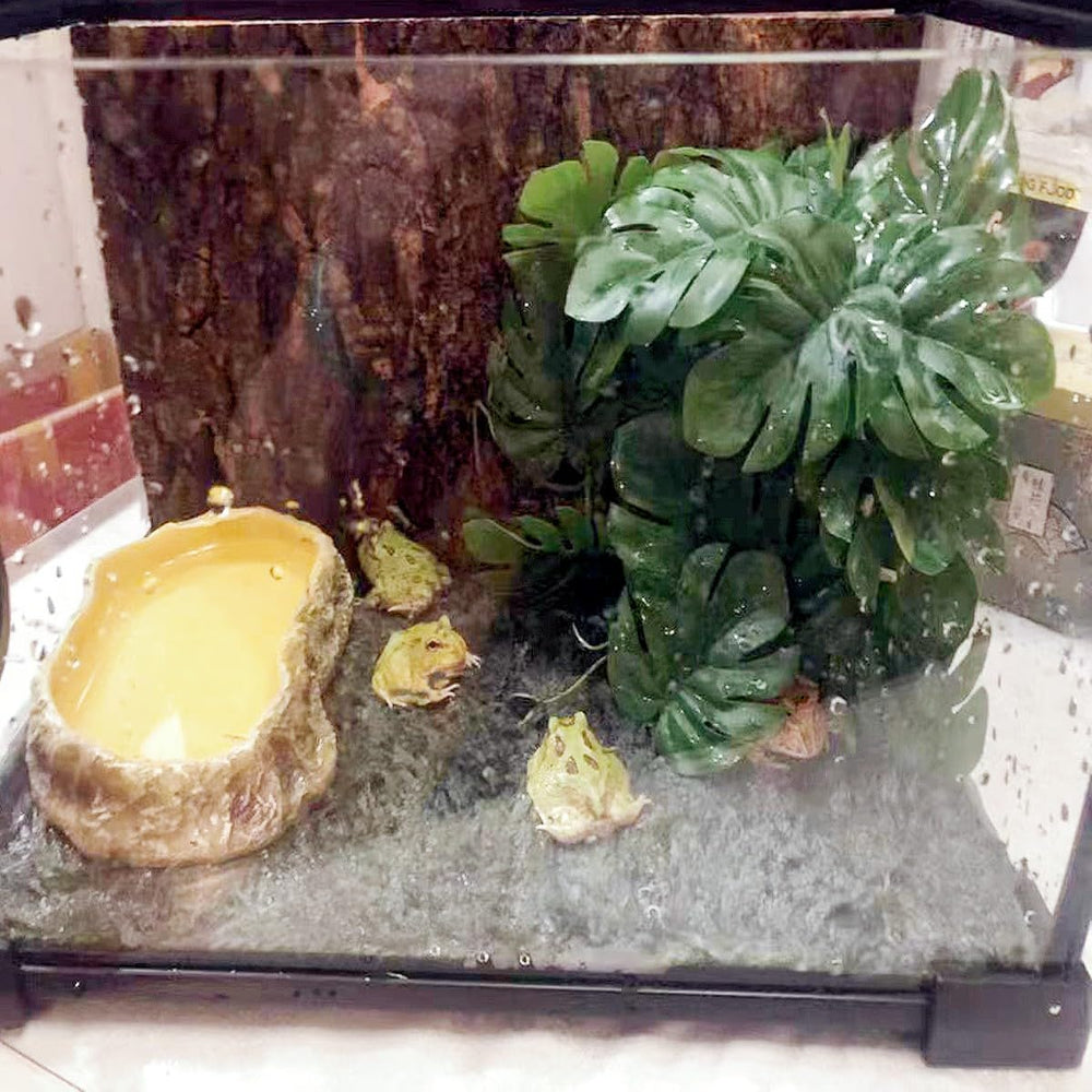 KERUIDENG Reptile Plants two-pack lets flexible placement and layout.
