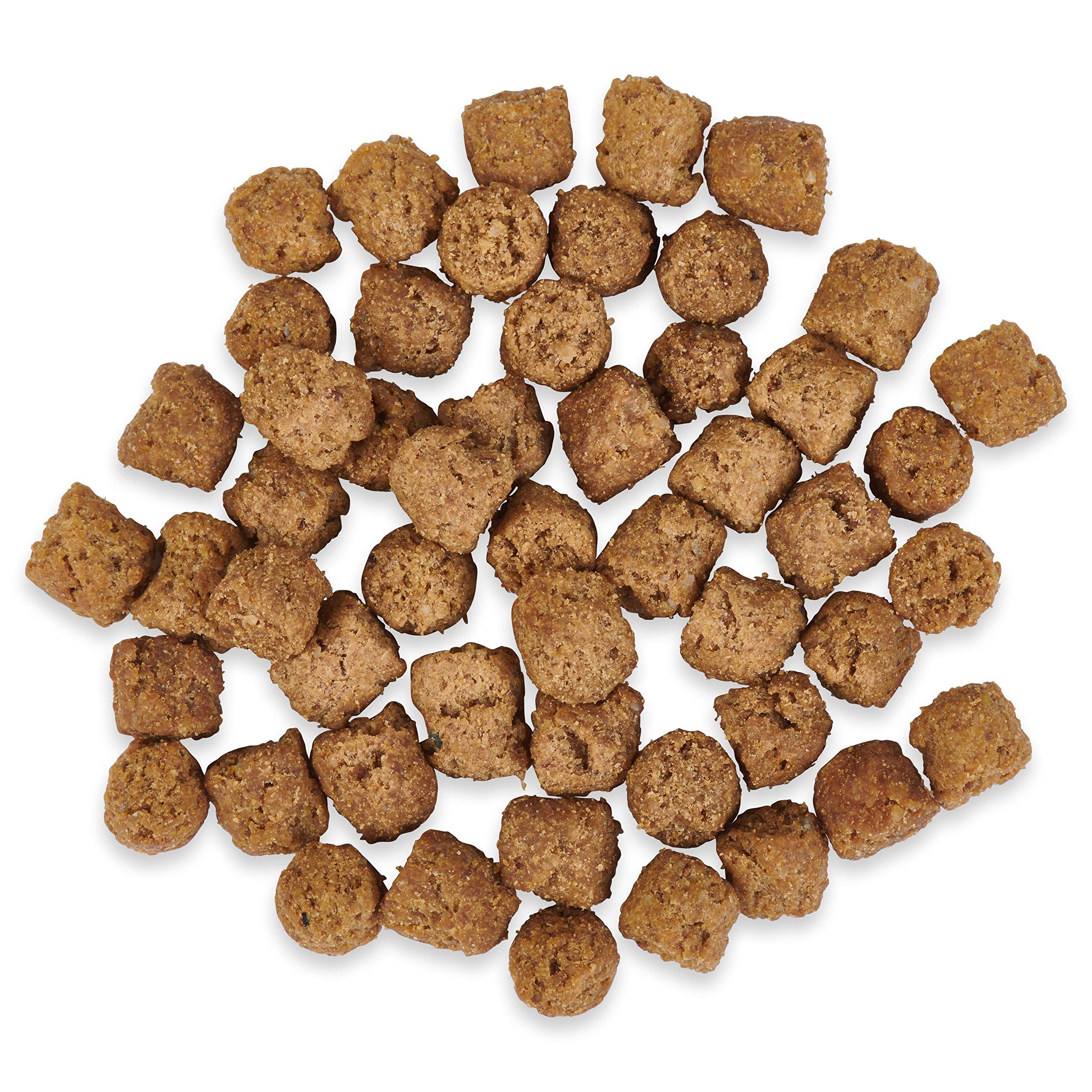 Ketona Salmon Recipe adult dog meal prepared for everyday feeding.