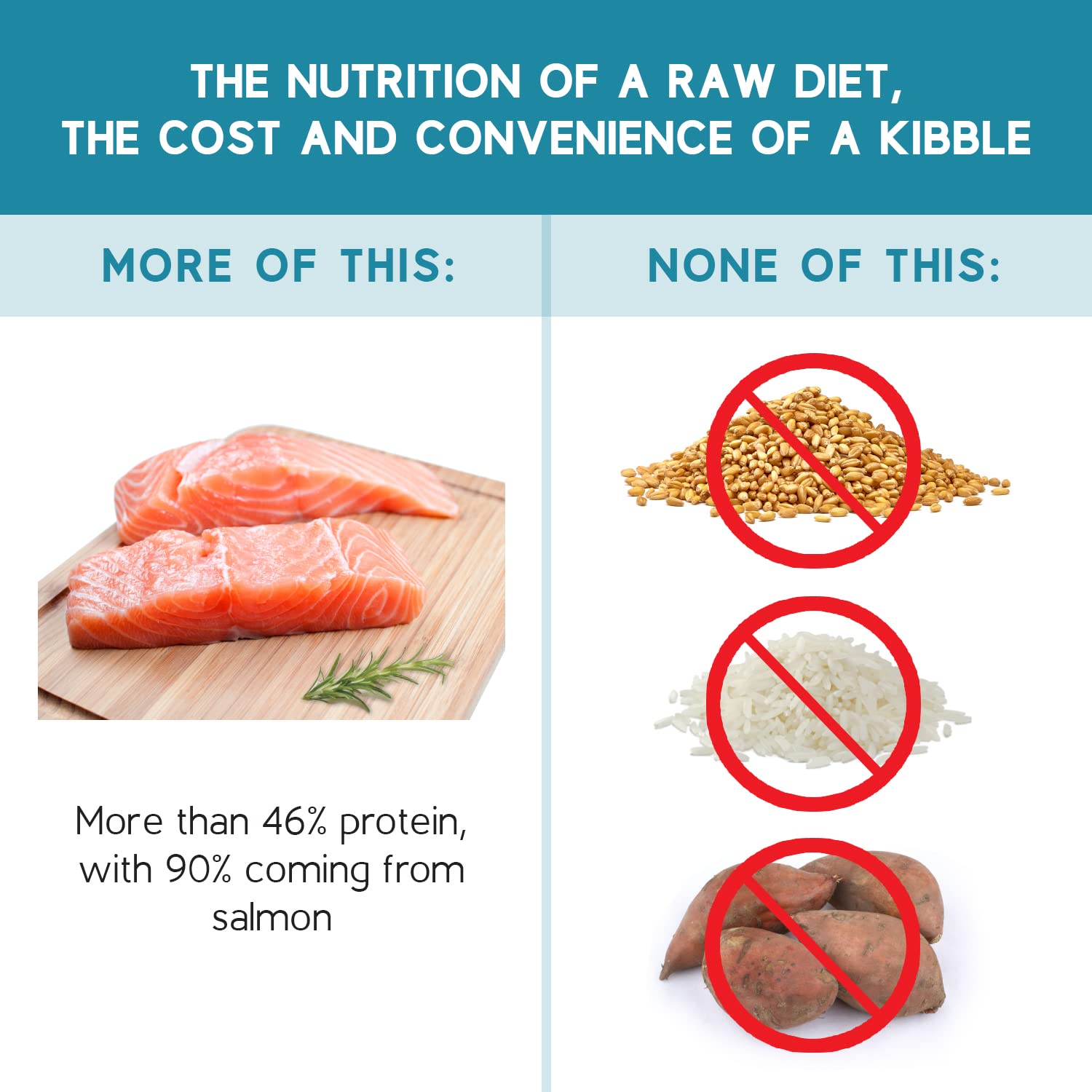 Ketona Salmon Recipe bag label close-up showing grain-free formula and natural ingredients.