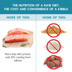Ketona Salmon Recipe bag label close-up showing grain-free formula and natural ingredients.