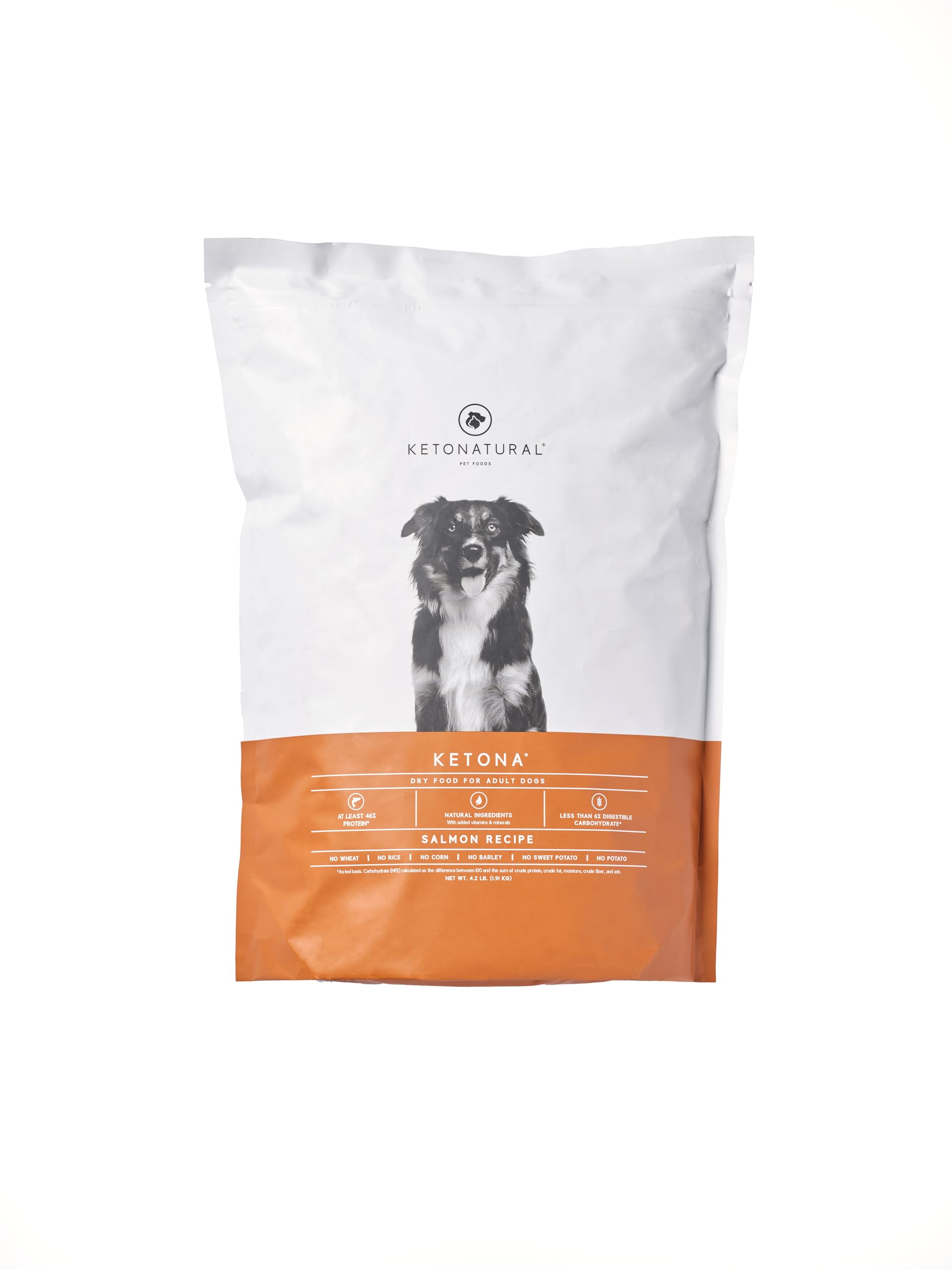 Ketona Salmon Recipe dry dog food kibble close-up highlighting high protein and low carb.