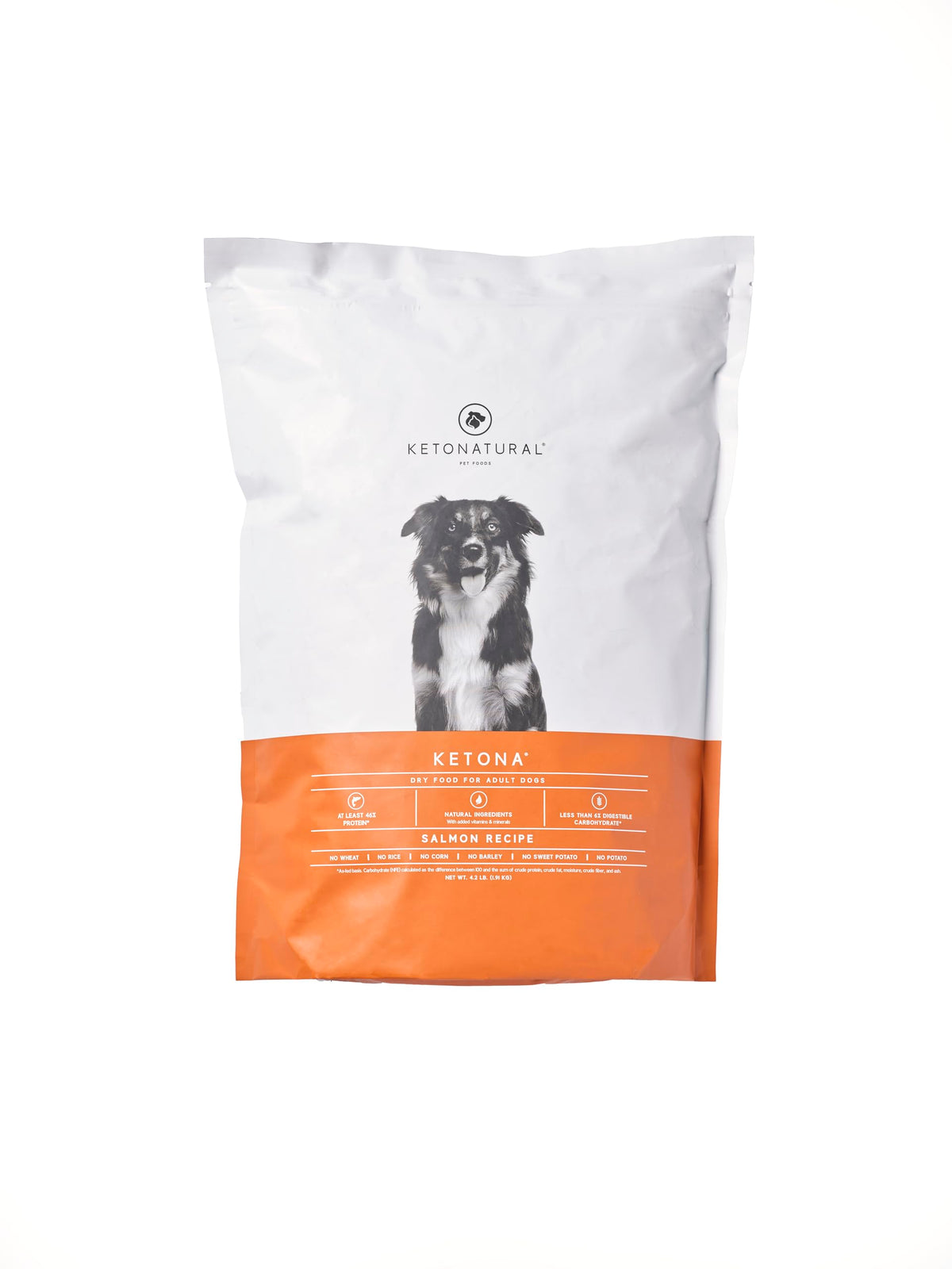 Ketona Salmon Recipe dry dog food kibble close-up highlighting high protein and low carb.