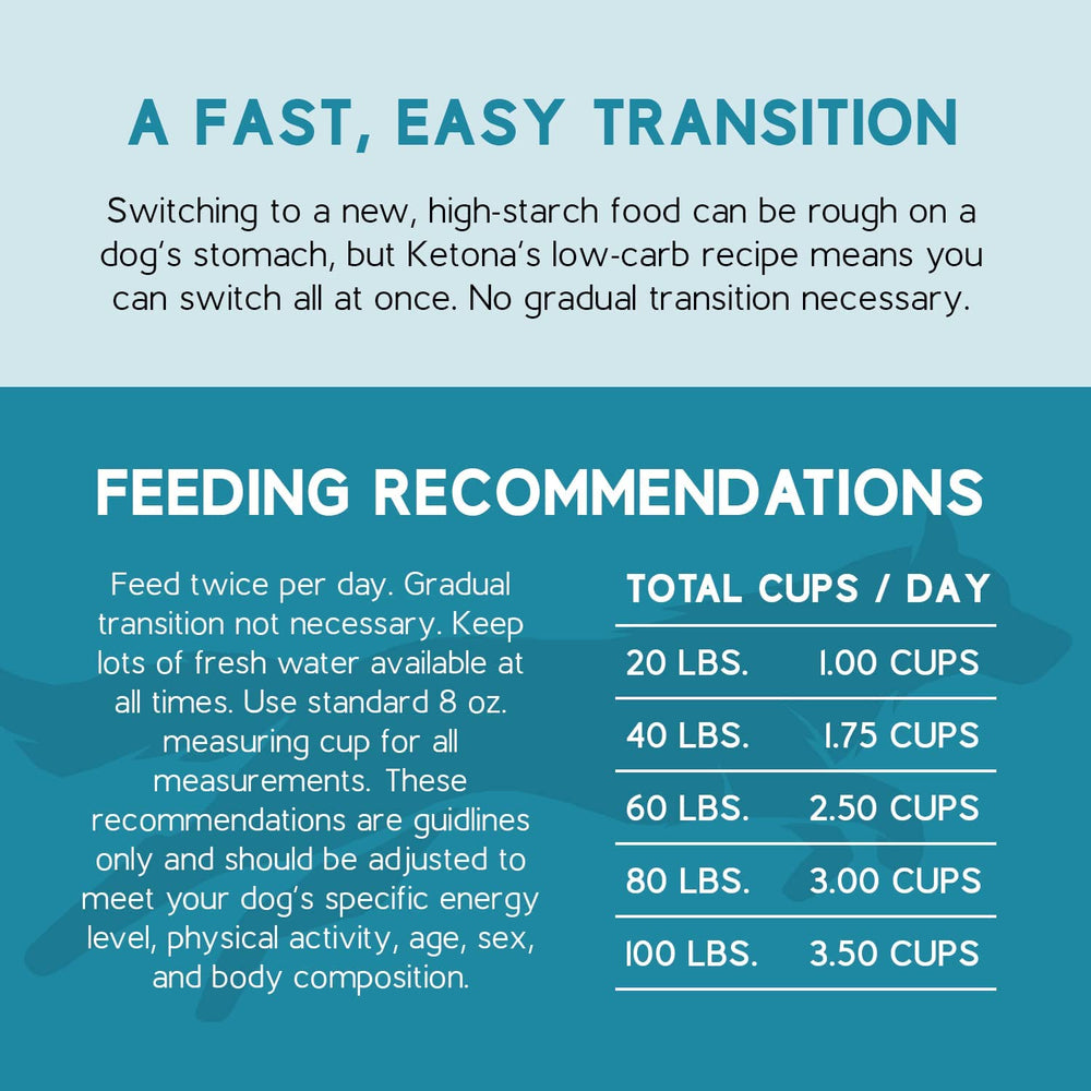 Ketona Salmon Recipe emphasis on lean muscle support for adult dogs.