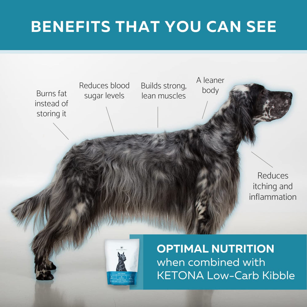 Training session with Ketona bites as rewards and clicker nearby