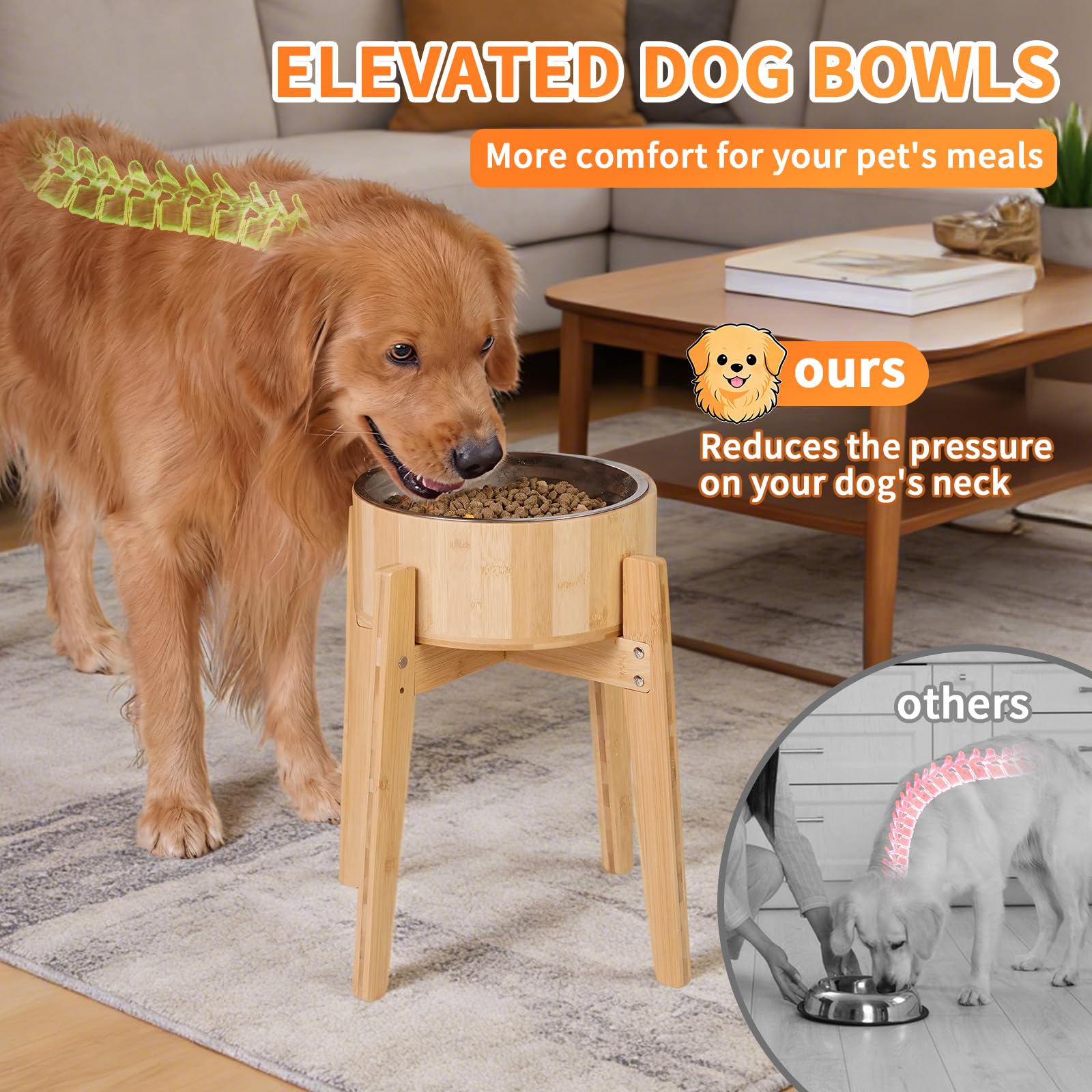 KEVIDEAWL double-bowl-dining-set keeps meals organized and mess-free.