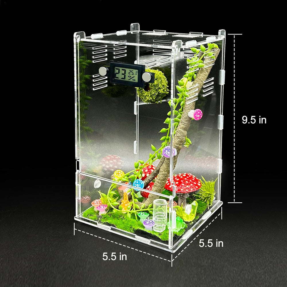 KFPSHLQE jumping spider enclosure branch climb for active exploration