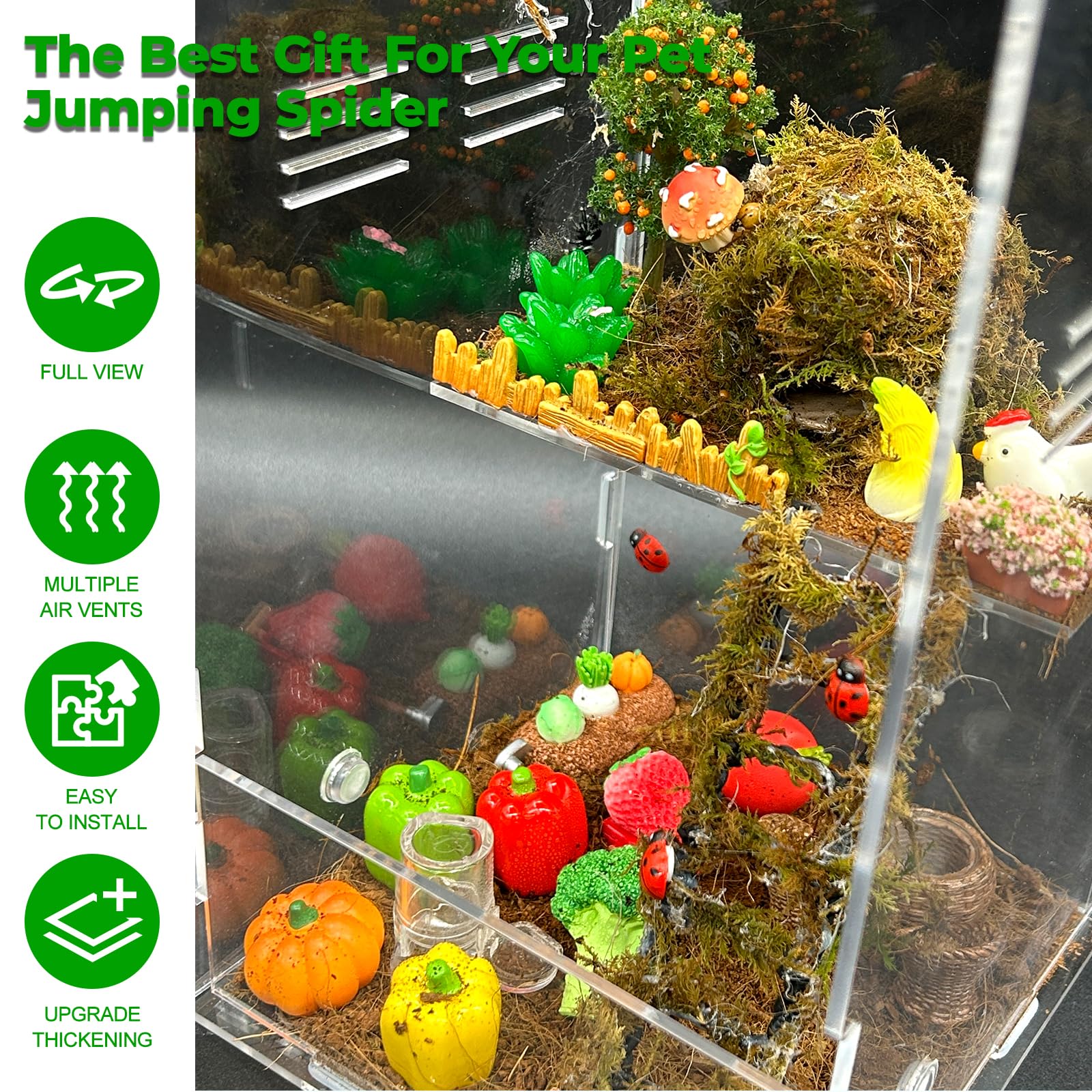 KFPSHLQE Jumping Spider Enclosure compact size fits desktops and shelves.