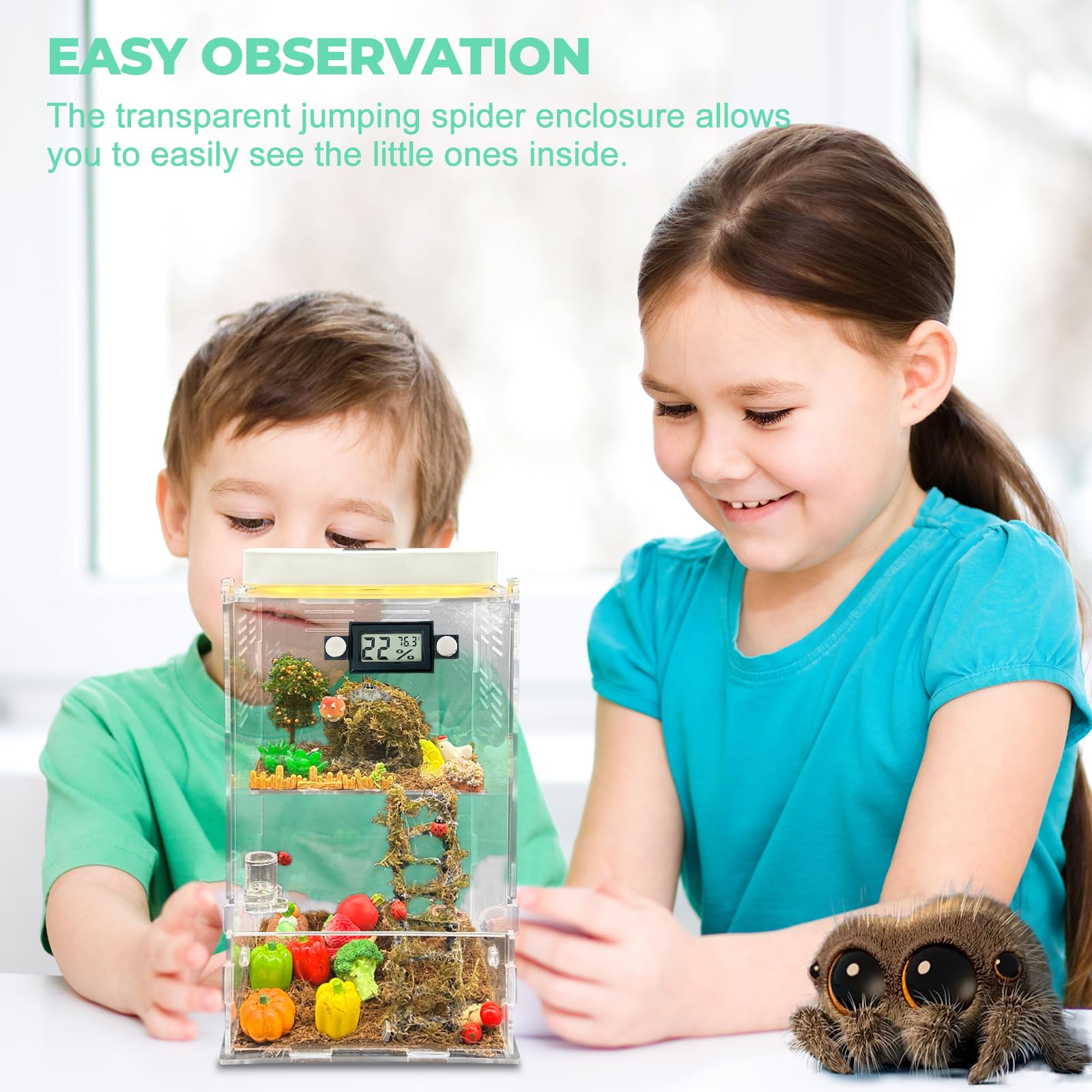KFPSHLQE Jumping Spider Enclosure decorative accessories for a natural look.