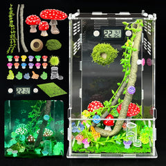 KFPSHLQE jumping spider enclosure front view for easy monitoring