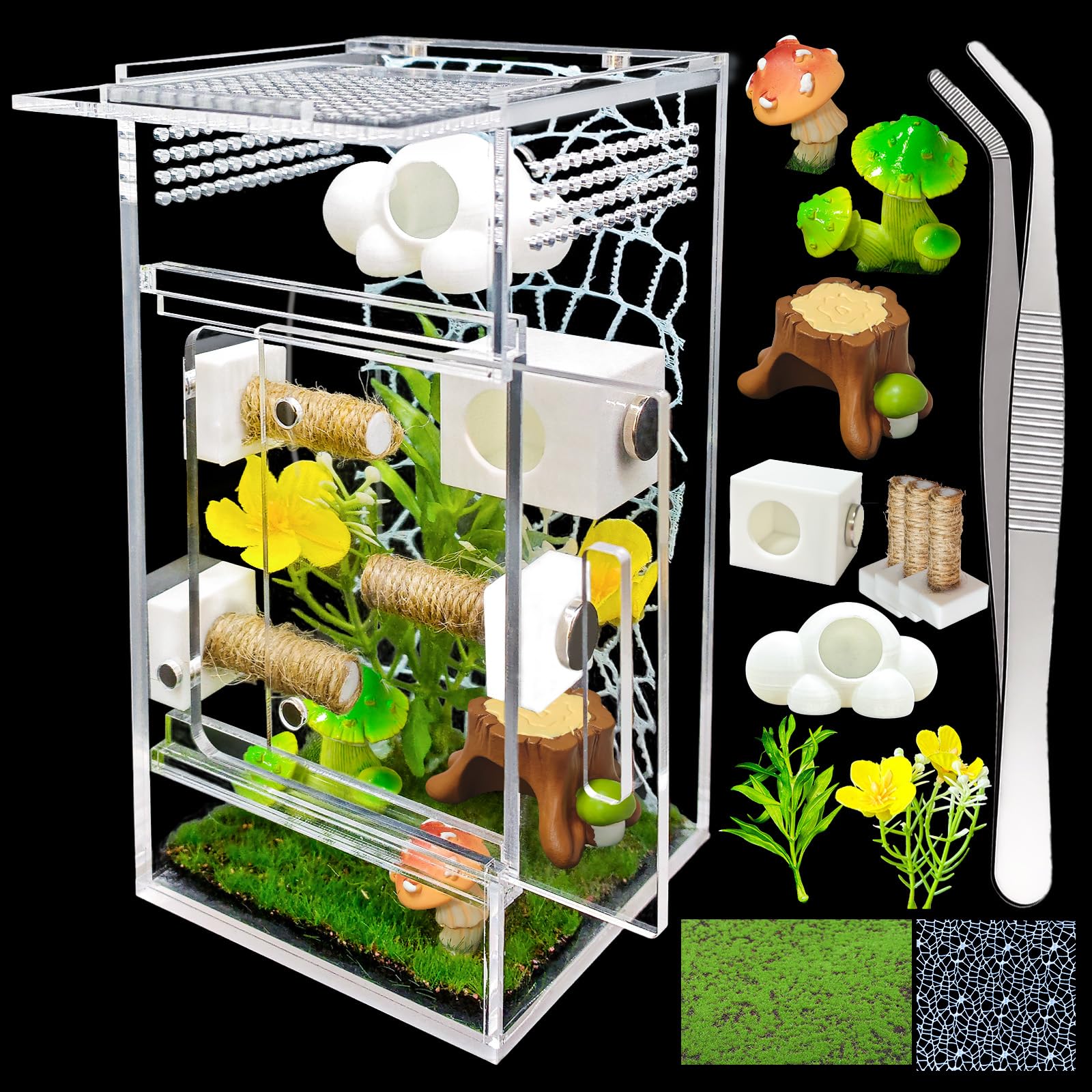 KFPSHLQE jumping spider enclosure glass house for clear viewing and feeding ease.