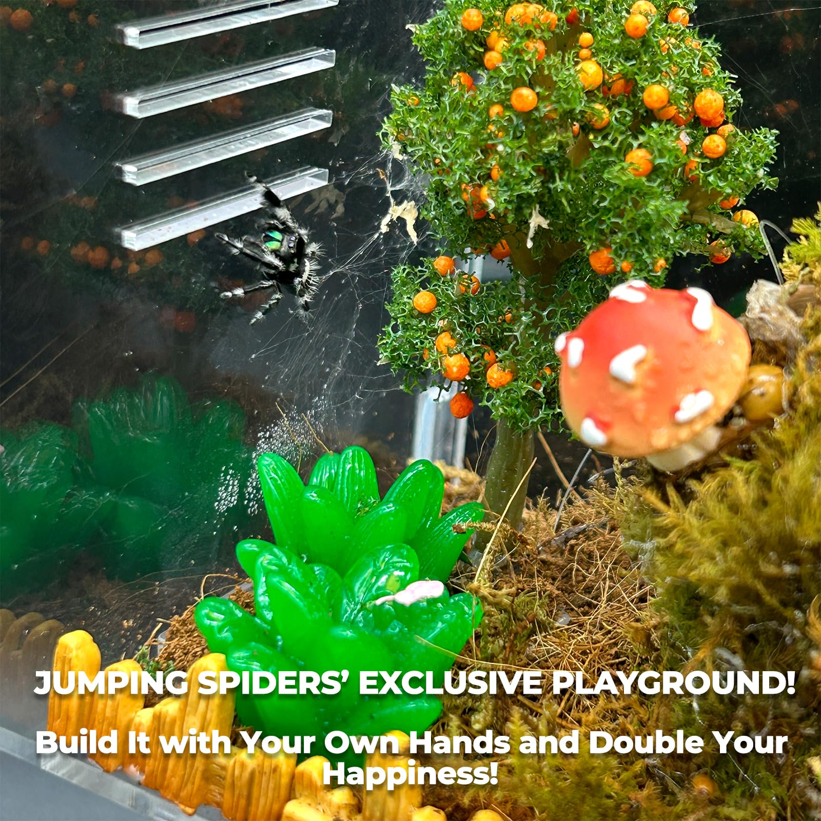 KFPSHLQE Jumping Spider Enclosure real-time temperature and humidity display monitors habitat.
