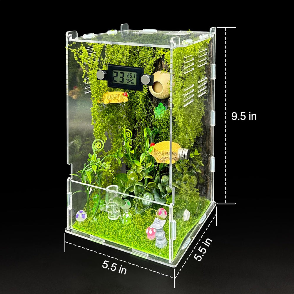 KFPSHLQE Jumping Spider Enclosure side view showing ventilation holes for fresh air.