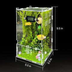 KFPSHLQE Jumping Spider Enclosure side view showing ventilation holes for fresh air.