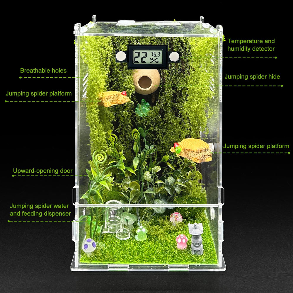 KFPSHLQE Jumping Spider Enclosure top view with easy access clamshell lid.
