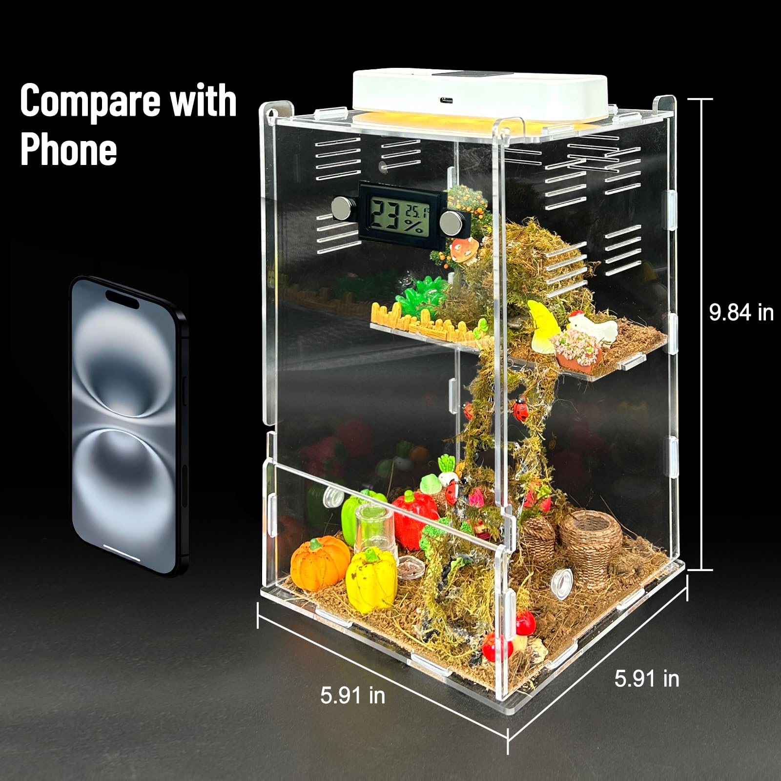 KFPSHLQE Jumping Spider Enclosure transparent glass for unobstructed viewing.
