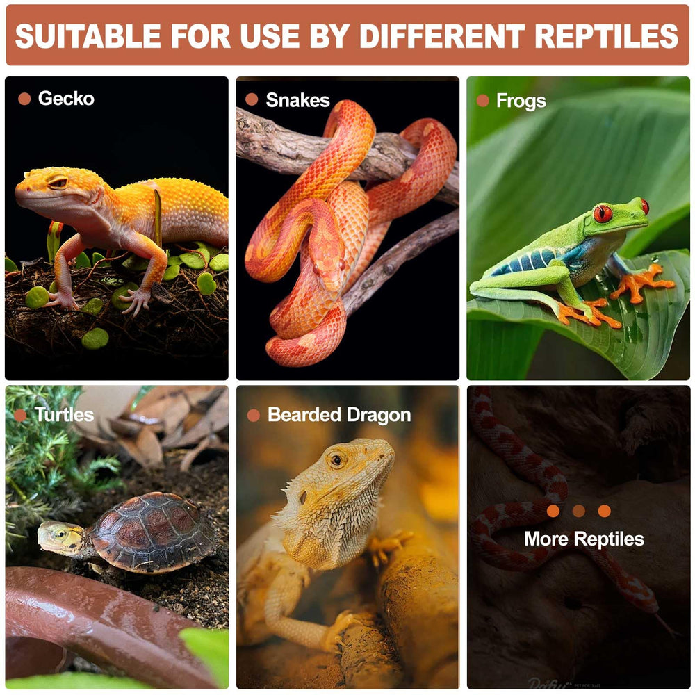 KFPSHLQE reptile hide spray bottle makes misting easy.