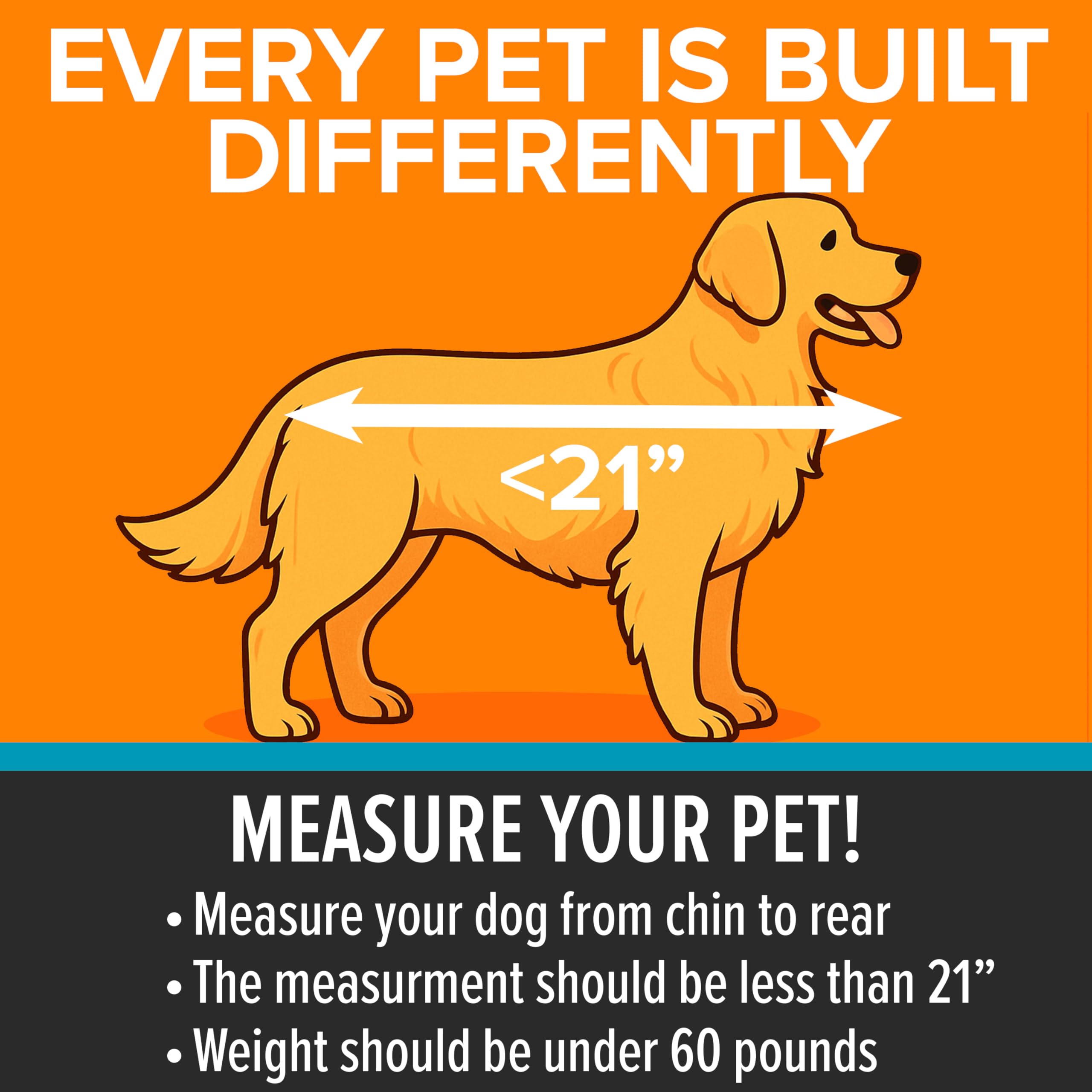 K&amp;H Buckle N Go adjustable tether keeps pets safely restrained.