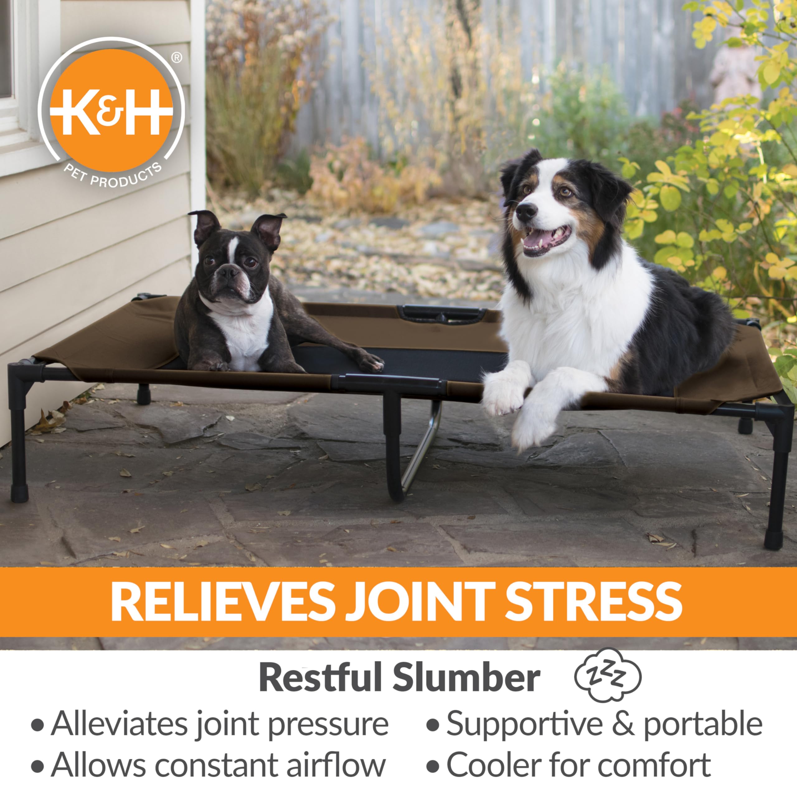 K&H elevated cot demonstrates 9-inch ground clearance for dry, cool paws.