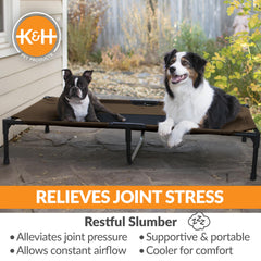 K&H elevated cot demonstrates 9-inch ground clearance for dry, cool paws.